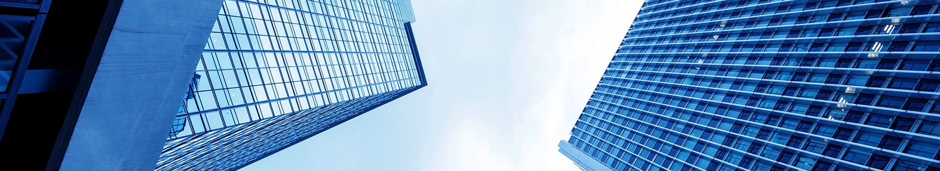 د محرمیت پالیسي